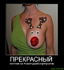     
: 111.png
: 3286
:	223.6 
ID:	103715