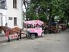     
: SDC11538.JPG
: 335
:	383.5 
ID:	10513