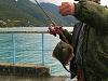     
: IMG_1225.JPG
: 92
:	123.5 
ID:	109279