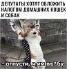     
: image1.jpg
: 1270
:	117.7 
ID:	112568