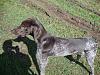     
: DSC02014.jpg
: 295
:	1.12 
ID:	12006