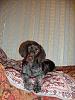     
: DSC01816.jpg
: 246
:	1.01 
ID:	12007
