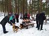     
: IMG_20190310_152529.jpg
: 177
:	1.01 
ID:	122003