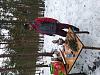     
: IMG_20190310_154150.jpg
: 154
:	1.01 
ID:	122005