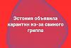     
: 11.jpeg
: 237
:	31.6 
ID:	127704