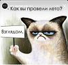     
: IMG-20210830-WA0000.jpg
: 429
:	84.2 
ID:	134694