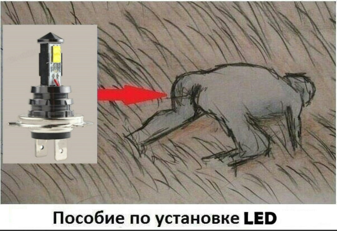 : 2bZucHsrqNqmzaN5Yz7uQuI9UyQ-1920.jpg
: 398

: 218.9 