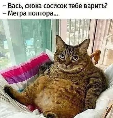 :     .jpg
: 1358

: 70.8 
