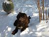     
: IMG_0253.jpg
: 238
:	823.3 
ID:	16759