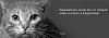     
: y_b8a234ef.jpg
: 553
:	35.7 
ID:	21089
