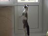     
: DSCF0562.jpg
: 286
:	641.5 
ID:	23593