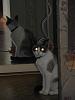     
: DSCF1382.jpg
: 261
:	623.7 
ID:	23594