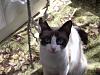     
: DSCF0559.jpg
: 264
:	799.5 
ID:	23595
