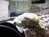     
: 130222_172744.jpg
: 1538
:	464.4 
ID:	26588
