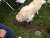     
: 2013-05-25 16.54.19_..jpg
: 522
:	716.3 
ID:	29201
