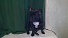     
: 27022011084.JPG
: 288
:	700.1 
ID:	30005
