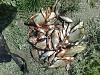     
: 26052013958.jpg
: 364
:	982.2 
ID:	30034