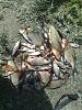     
: 26052013959.jpg
: 335
:	938.7 
ID:	30035