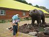     
: IMG_4129.jpg
: 216
:	1,001.9 
ID:	32490