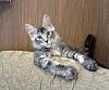     
: 20130424_071245_.jpg
: 277
:	253.0 
ID:	32703