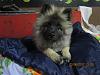     
: IMG_0131.jpg
: 269
:	982.3 
ID:	34635