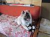     
: IMG_0207.jpg
: 181
:	1.02 
ID:	34637