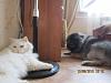     
: IMG_0497.jpg
: 233
:	898.8 
ID:	35693