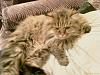     
: IMAGE_068.jpg
: 227
:	433.9 
ID:	38190