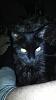     
: IMG_20131209_002416.jpg
: 216
:	822.8 
ID:	43585