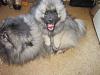     
: IMG_0749.jpg
: 897
:	1,009.6 
ID:	48352