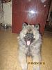     
: IMG_0736.jpg
: 917
:	985.6 
ID:	48353