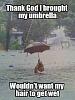     
: 532c522889075_umbrella.jpg
: 1407
:	42.8 
ID:	50293