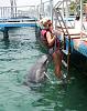     
: 5342d17534330_Dolphin.jpg
: 1542
:	45.2 
ID:	51544