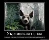     
: 1326707718_26401_ukrainskaya-panda.jpg
: 1322
:	77.3 
ID:	5187