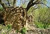     
: 0_a5b8c_f81c741e_XXL.jpg
: 168
:	566.5 
ID:	52583