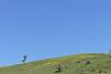     
: 0_a5b8f_938d4d44_XXL.jpg
: 162
:	119.6 
ID:	52586