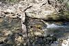     
: 0_a5b9d_6f04dafb_XXL.jpg
: 162
:	473.7 
ID:	52587