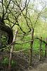     
: 0_a5b87_cf2750f_XXL.jpg
: 170
:	539.9 
ID:	52595