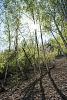     
: 0_a5ba3_7f7ca144_XXL.jpg
: 156
:	569.7 
ID:	52601