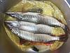     
: 20140521_222904.jpg
: 221
:	587.0 
ID:	55065
