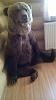     
: WP_20140612_029.jpg
: 174
:	365.5 
ID:	56023