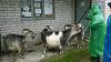     
: WP_20140614_031.jpg
: 160
:	461.6 
ID:	56046