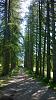     
: WP_20140615_032.jpg
: 173
:	644.9 
ID:	56057