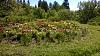     
: WP_20140615_033.jpg
: 144
:	896.0 
ID:	56058
