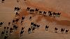    
: 6034260-R3L8T8D-650-national_geographic_camels_1920x1080_20377.jpg
: 2067
:	114.7 
ID:	56069