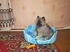     
: IMG_0786.jpg
: 296
:	1,006.7 
ID:	57068