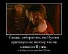     
: 811071_original.jpg
: 485
:	42.1 
ID:	62943