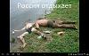     
: Screenshot_2014-11-14-19-19-36.jpg
: 542
:	158.7 
ID:	65200