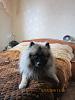     
: IMG_1500.jpg
: 312
:	985.1 
ID:	67135