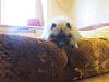     
: IMG_1501.jpg
: 212
:	985.4 
ID:	67136